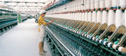 棉花發(fā)展簡(jiǎn)史 作物的價(jià)值和可持續(xù)的意義